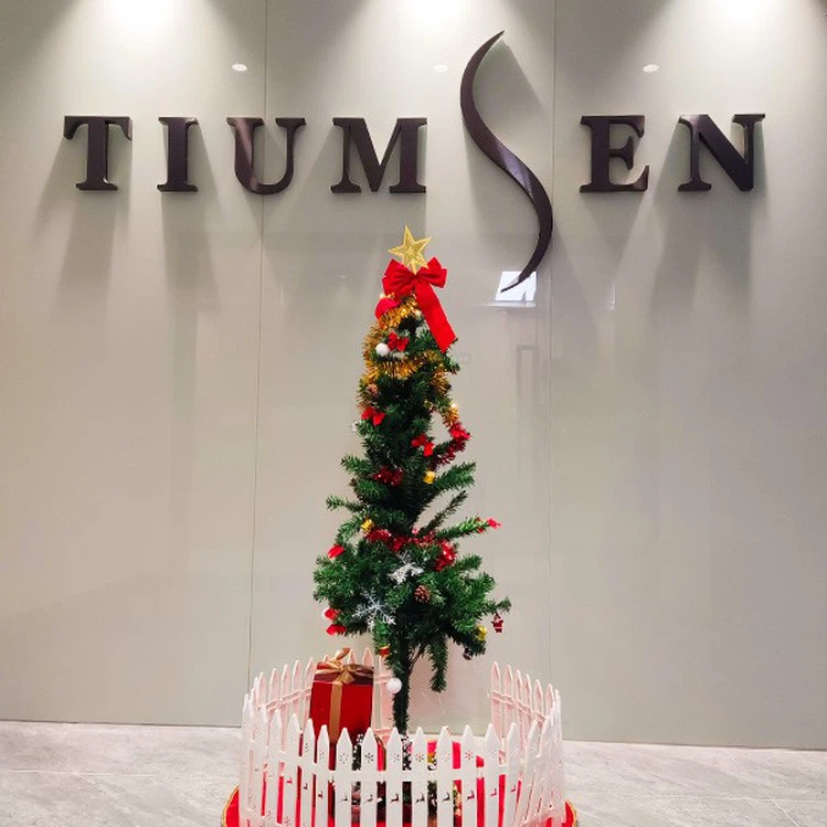 Celebration this Christmas Celebration this Christmas